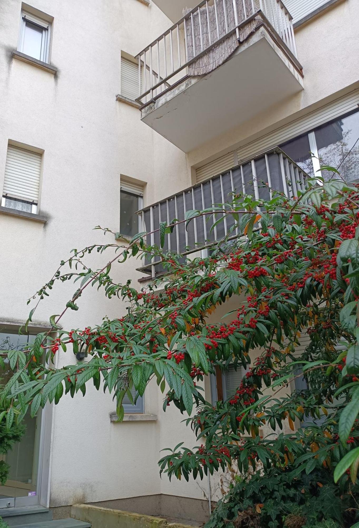 Apartamento Casa Limpertsberg Luxemburgo Exterior foto
